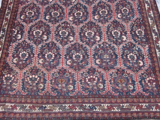 Antique Khamseh Rug , SW Persian , Early 20th century ,7.4 x 5.2
The wool is soft and has a good patina.The foundation is all wool and the condition is quite good with  ...