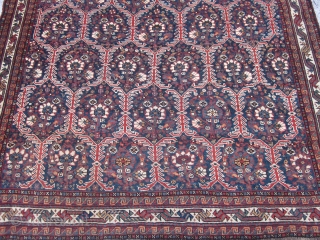 Antique Khamseh Rug , SW Persian , Early 20th century ,7.4 x 5.2
The wool is soft and has a good patina.The foundation is all wool and the condition is quite good with  ...