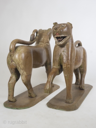 Large Pair Of 18th Century Carved Wooden Tigers, Mughal Empire

Dating to the mid/late 18th century, these magnificent cats are incredibly rare, beautifully carved, substantial and impressive. The subtle curves are elegant and  ...
