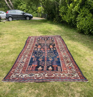 Palace size Luri long rug with Bid Majnun Weeping Willow motif. Size 430 x 125 cm. Excellent drawing, not stiff like other examples with this pattern can be, but assured and playful,  ...