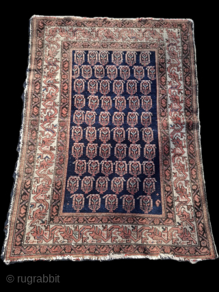 Cool Kurdish rug with dragons and botehs. Size 143 x 108. Probably a personal sitting rug. Contact me at alexanderbakker@flairforflavor.com.