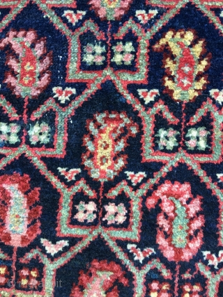 Ancient NW Persian bagface. Wool on homespun cotton. Oblong size and subject (boteh in tulip shaped 'case') would suggest Afshar, as does the cotton foundation, but neither the wool, the colors, the  ...