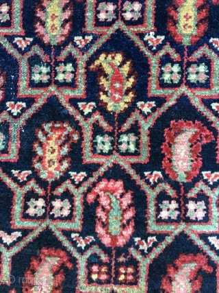 Ancient NW Persian bagface. Wool on homespun cotton. Oblong size and subject (boteh in tulip shaped 'case') would suggest Afshar, as does the cotton foundation, but neither the wool, the colors, the  ...
