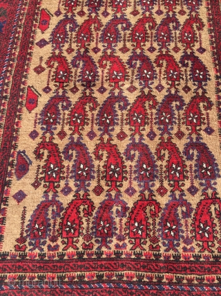 Baluch camel hair rug with boteh pattern, usually reserved for prayer rugs. Full pile, pristine condition. Best natural colors (also the purple), crisp and well proportioned drawing, jewel of a rug. Size  ...