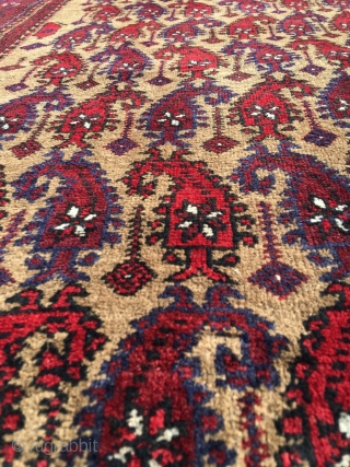Baluch camel hair rug with boteh pattern, usually reserved for prayer rugs. Full pile, pristine condition. Best natural colors (also the purple), crisp and well proportioned drawing, jewel of a rug. Size  ...