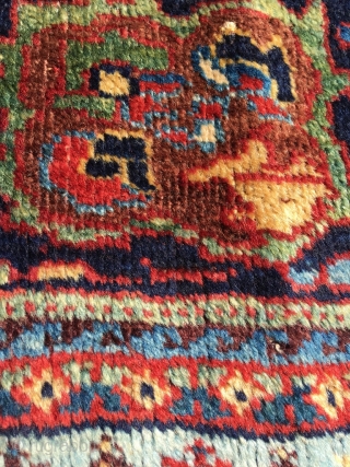 Afshar masnad in classical Kirman pattern with unsurpassed cypres border. Best colors and softest wool. Professionally hand washed. 2nd half 19th century, wool on wool. Original selvedges. Corrosion in the red /  ...