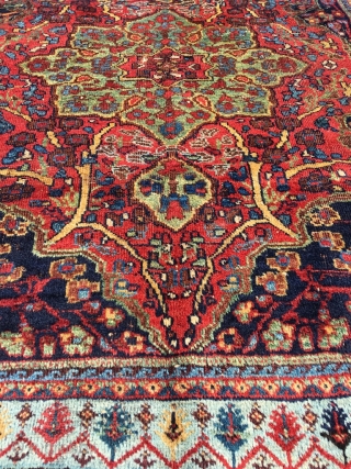 Afshar masnad in classical Kirman pattern with unsurpassed cypres border. Best colors and softest wool. Professionally hand washed. 2nd half 19th century, wool on wool. Original selvedges. Corrosion in the red /  ...