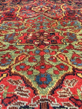 Afshar masnad in classical Kirman pattern with unsurpassed cypres border. Best colors and softest wool. Professionally hand washed. 2nd half 19th century, wool on wool. Original selvedges. Corrosion in the red /  ...