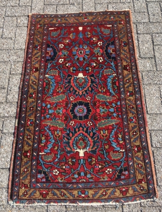 Rare Heriz vagireh, size 53.5 x 34. 2 inch (136 x 87 cm). Glowing colors, fat wool, mint condition, only the lower end reduced by a couple of lines. Not seen a  ...