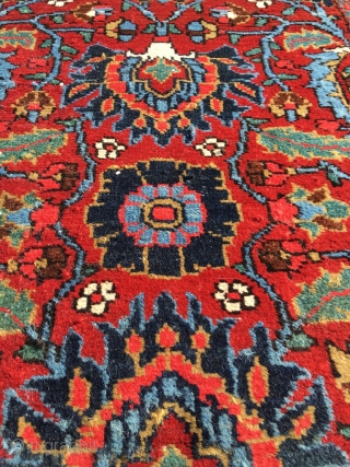 Rare Heriz vagireh, size 53.5 x 34. 2 inch (136 x 87 cm). Glowing colors, fat wool, mint condition, only the lower end reduced by a couple of lines. Not seen a  ...