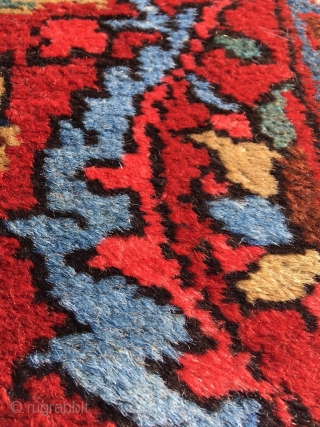 Rare Heriz vagireh, size 53.5 x 34. 2 inch (136 x 87 cm). Glowing colors, fat wool, mint condition, only the lower end reduced by a couple of lines. Not seen a  ...
