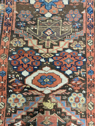 Early Kurdish kelleh, Sauj Bulagh? Size 352 x 95 cm. Excellent saturated colors, nice old purple. Interesting rendition of the border. Top worn. Contact me at alexanderbakker@flairforflavor.com.      