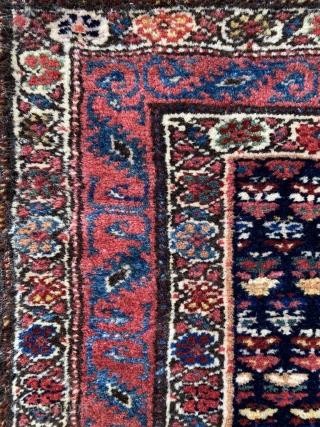 Shahsavan pile bag with a very rare border. I have seen this pattern published but can't remember where - most likely Frauenknecht (as a sumac weaving). Delicious colors, gorgeous wool. Again I  ...