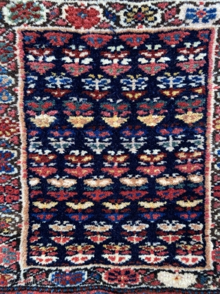 Shahsavan pile bag with a very rare border. I have seen this pattern published but can't remember where - most likely Frauenknecht (as a sumac weaving). Delicious colors, gorgeous wool. Again I  ...