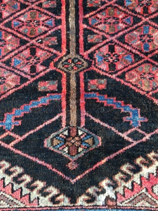 Excellent Hamadan with rare border. Outstanding proportions and color. Light brown is natural camel wool. Beautiful condition. Kilim ends need securing. Size 79.5 x 56.7 inch (202 x 144 cm).Attractive price.  