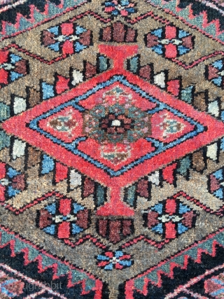 Excellent Hamadan with rare border. Outstanding proportions and color. Light brown is natural camel wool. Beautiful condition. Kilim ends need securing. Size 79.5 x 56.7 inch (202 x 144 cm).Attractive price.  