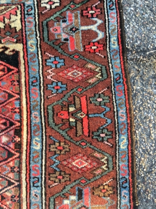 Excellent Hamadan with rare border. Outstanding proportions and color. Light brown is natural camel wool. Beautiful condition. Kilim ends need securing. Size 79.5 x 56.7 inch (202 x 144 cm).Attractive price.  