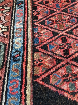 Excellent Hamadan with rare border. Outstanding proportions and color. Light brown is natural camel wool. Beautiful condition. Kilim ends need securing. Size 79.5 x 56.7 inch (202 x 144 cm).Attractive price.  