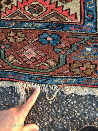 Excellent Hamadan with rare border. Outstanding proportions and color. Light brown is natural camel wool. Beautiful condition. Kilim ends need securing. Size 79.5 x 56.7 inch (202 x 144 cm).Attractive price.  