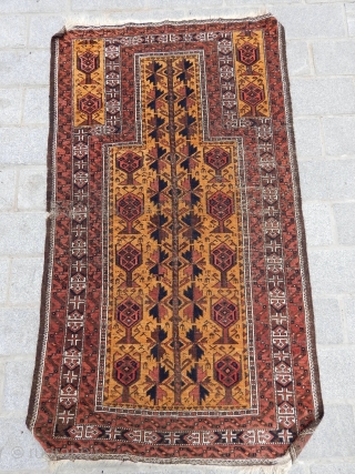 Antique  Baluch Prayer Rug                            