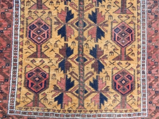 Antique  Baluch Prayer Rug                            