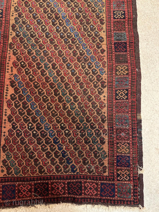Antique Baluch Rug                              
