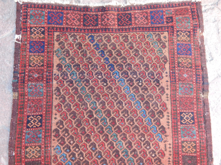 Antique Baluch Rug                              