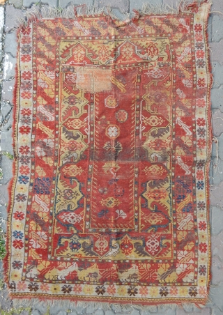 Antique West Anatolian Melas Rug
 Size.160x115cm .E-mail.anatolianpicker@gmail.com                          