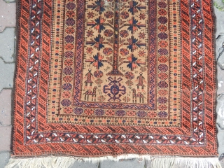 Antique Baluch Prayer Rug . E-mail.anatolianpicker@gmail.com                           