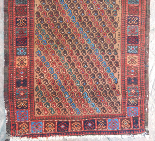 Antique Baluch Rug                              