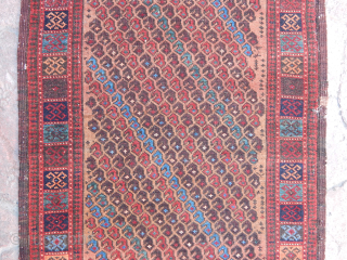 Antique Baluch Rug                              