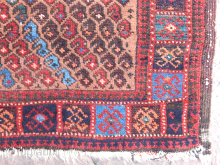 Antique Baluch Rug                              