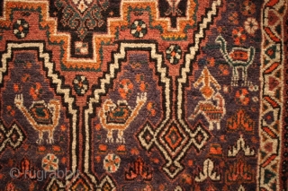 Unique color 60-70 years old Persian Afshari 3 heads hand-knotted 100% wool piled rug with 100% natural dyes and some no dyes wool
CATEGORY: Persian
ORIGIN/TYPE: Afshar / 3 Heads Design 
AGE CLASSIFICATION: 1950+
SIZE:  ...
