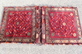 Unique Persian Bakhtiari saddlebag, natural and synthetic colors with goat hair closure loops &  all intact, Collectors item.
CATEGORY: Persian
ORIGIN/TYPE: Bakhtiari / Lori flower design 
AGE CLASSIFICATION: 1940+
SIZE: 29" (76cm) x 59"  ...