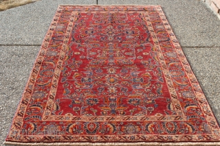 Unique spectacular Persian Balouch 60+ years old hand-knotted wool piled rug with natural dyes 
CATEGORY: Persian
ORIGIN/TYPE: Balouch / Floral 
AGE CLASSIFICATION: 1950+
SIZE: 42" (106cm) x 78" (198cm)
CONDITION: Perfect condition 
ID(APRC): No. 126-45
https://www.facebook.com/pages/Antique-Persian-Rug-Club/100634546750598 
