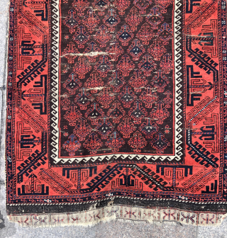 Antique Baluch Rug 
  contact at directly rugbjk1903@gmail.com                        