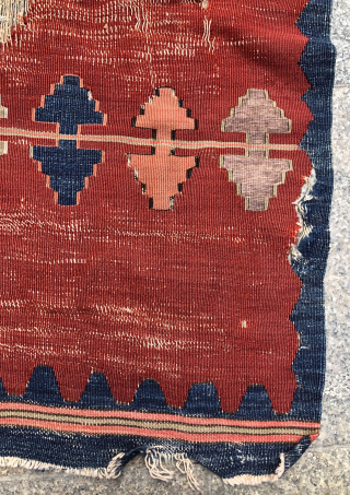 Yüncü Kilim contact at directly rugbjk1903@gmail.com                           
