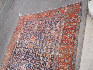 nice antique blue field heriz rug measuring 8' 11" x 11' 9" good condition few worn spot great border design clean no dry rot very solid beautiful colors.

SOLDDDDDDDDDDDDDDDDDDDDDDDDDDDDDDDDDDDD     