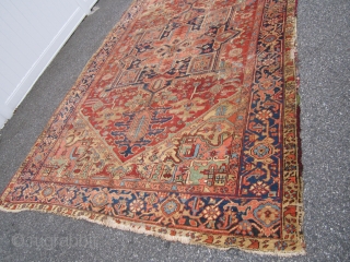 great antique heriz rug measuring 8' x 11' 9" beautiful colors solid rug no dry rot condition as shown clean no pets with some wear 1675.00 plus shipping

SOLDDDDDDDDDDDDDDDDDDDDD     