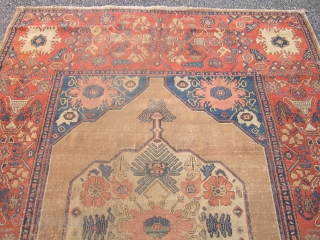 alireza
super rare antique over 130 years old persian senneh oriental rug measures 4' 6" x 6' 6" great drawing ,worn ,4" tear ... read more
Ask about this 
price:  ask
alireza's pages

sold thanks 