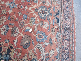 huge antique mahal rug 10' 4" x 13' 2" great colors very floppy clean rug good low even pile minor foundation visible 3 clean holes and 2 tear easy fix huge profit  ...