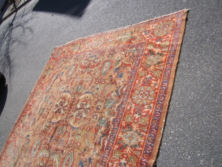 beautiful antique camel ground persian mahal oriental rug measuring 8' 8" x 12' 3' solid rug very floppy low even pile no repair clean rug thin pile with even visible foundation very  ...