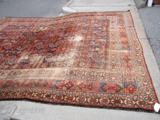 huge antique mahal rug 10' 4" x 13' 4" super rare design solid rug no dry rot clean area or wear and couple of holes as shown beautiful natural colors.
SOLDDDDDDDDDDDDDDDDDDDDDDDDDDDDDD   