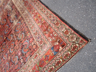 huge antique mahal rug 10' 4" x 13' 4" super rare design solid rug no dry rot clean area or wear and couple of holes as shown beautiful natural colors.
SOLDDDDDDDDDDDDDDDDDDDDDDDDDDDDDD   