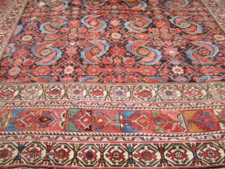 huge antique mahal rug 10' 4" x 13' 4" super rare design solid rug no dry rot clean area or wear and couple of holes as shown beautiful natural colors.
SOLDDDDDDDDDDDDDDDDDDDDDDDDDDDDDD   