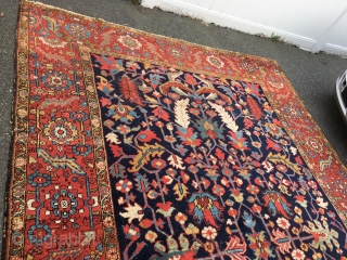 Measures  8' x 11' 6" nice colors Heriz rug solid rug has scattered moth damage needs cleaning being offered as found  1275.00 plus shipping

SOLD THANKS      