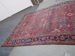 antique mahal crab design rug 9' x 12' 3" some wear 3 holes sides and ends are good nice colors cheap money big profit no dry rot SOLDDDDDDDDDDDDDDDDDDDDDDDD     