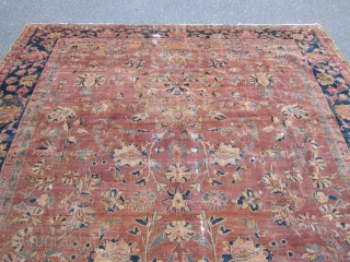 antique mahal rug 9'  x 11' 9" solid rug no dry rot no hole some old moth wear some loss to the ends great soft colors cheap money SOLDDDDDDDDDDDDDDDDDDDDDDDDD   