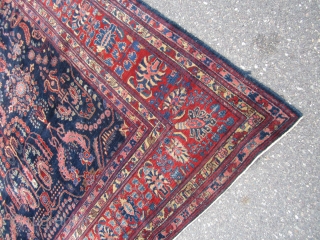 navy blue sarouk very good condition no dry rot solid rug very floppy 8' 6" x 11' 10" great wide border 1125.00 plus shipping. SOLDDDDDDDDDDDDDDDDDDDDDDDDDDDDDDDDD        