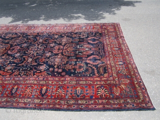 navy blue sarouk very good condition no dry rot solid rug very floppy 8' 6" x 11' 10" great wide border 1125.00 plus shipping. SOLDDDDDDDDDDDDDDDDDDDDDDDDDDDDDDDDD        